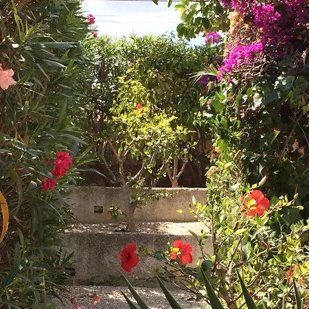 Holiday Calpe/calp/costa Blanca 3468
